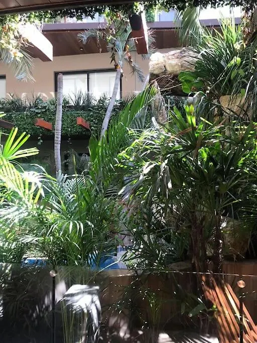 012 Modern Studio Luxurious Condo Wifi 100 Mb Tulum Apartment