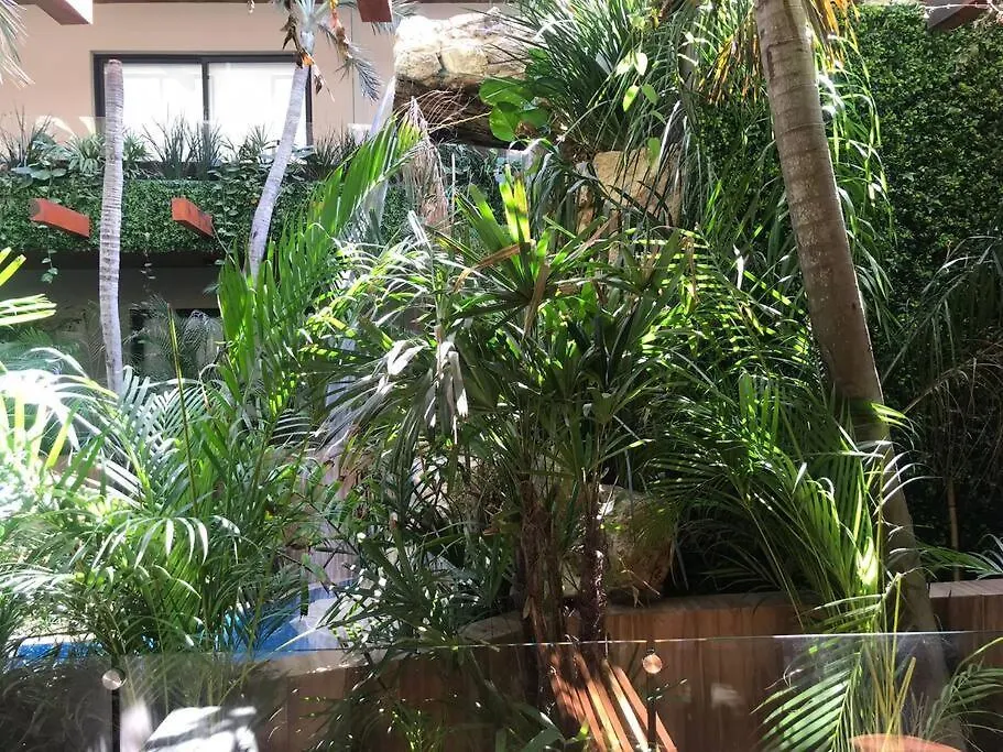 012 Modern Studio Luxurious Condo Wifi 100 Mb Tulum Apartment